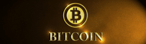 Bitcoin Training Camp Grow My Bitcoin